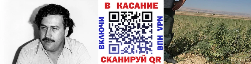 Названия наркотиков Навашино Cocaine СОЛЬ Конопля МЕФ