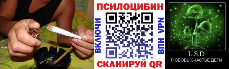 Псилоцибиновые грибы MAGIC MUSHROOMS  blacksprut онион  Навашино  дарнет шоп 